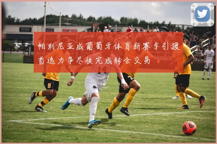 帕利尼亚成葡萄牙体育新赛季引援首选力争尽快完成转会交易